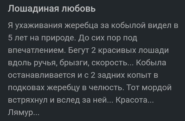 Лошадиная любовь Я ухаживания жеребца за кобыпой видел в 5 лет на природе До сих пор под впечатлением Бегут 2 красивых пошади вдоль ручья брызги скорость Кобыпа останавливается и с 2 задних копыт в подковах жеребцу в челюсть Тот мордой встряхнул и вслед за ней Красота Пямур