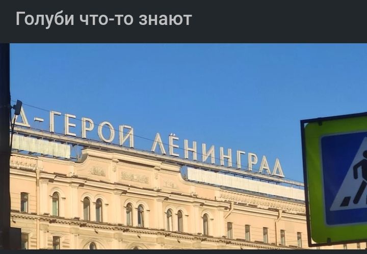 Голуби что то знают