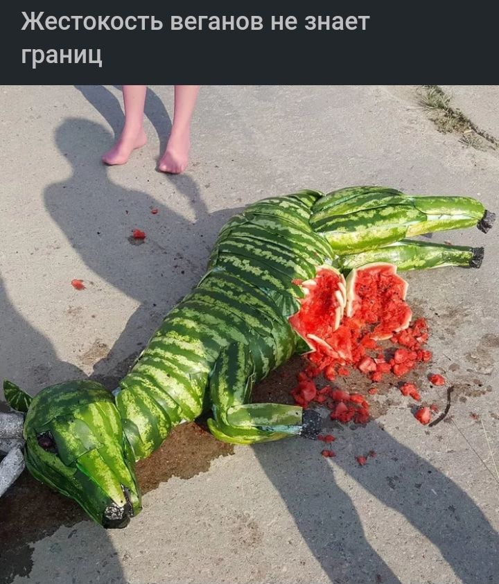 Жестокость веганов не знает границ
