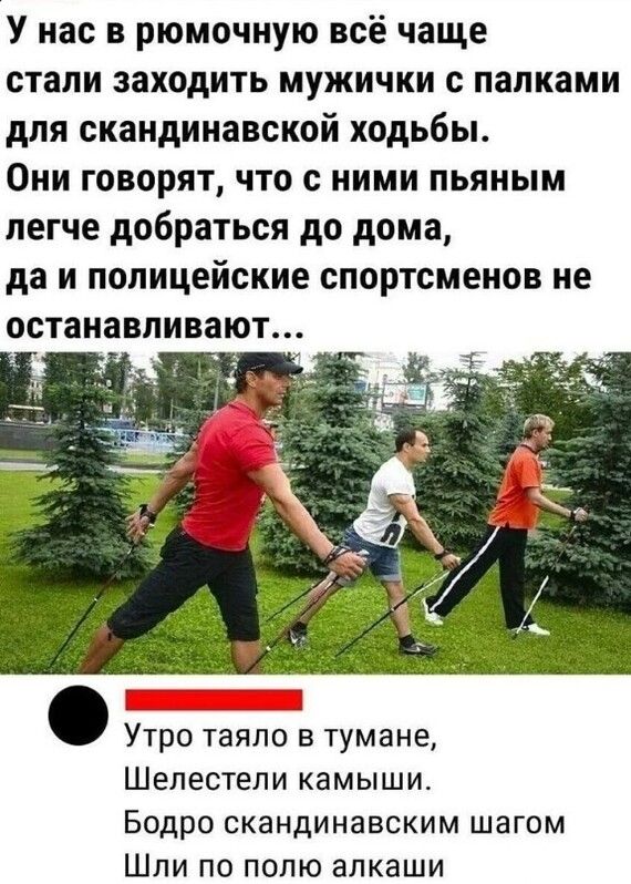 У нас в рюмочную всё чаще стали заходить мужички с палками для скандинавской ходьбы Они говорят что с ними пьяным легче добраться до дома да и полицейские спортсменов не останавливают Утро таяло в тумане Шелестели камыши Бодро скандинавским шагом Шли по полю алкаши