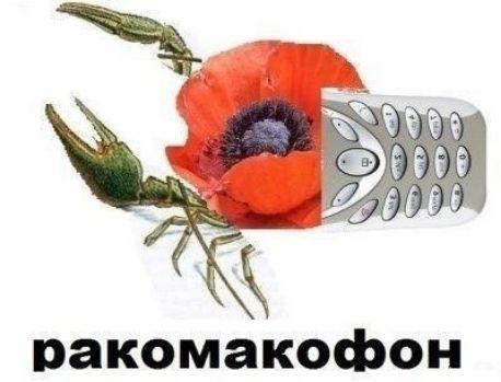 пакомакофон