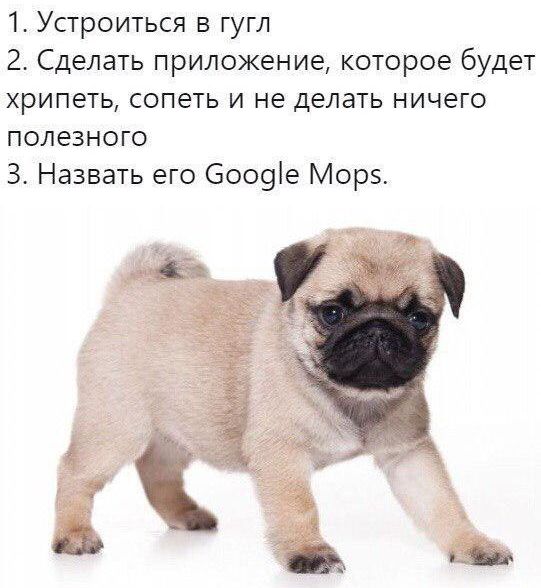 1 Устроиться в гугл 2 Сделать приложение которое будет хрипеть сопеть и не делать ничего полезного З Назвать его 6009е Морэ