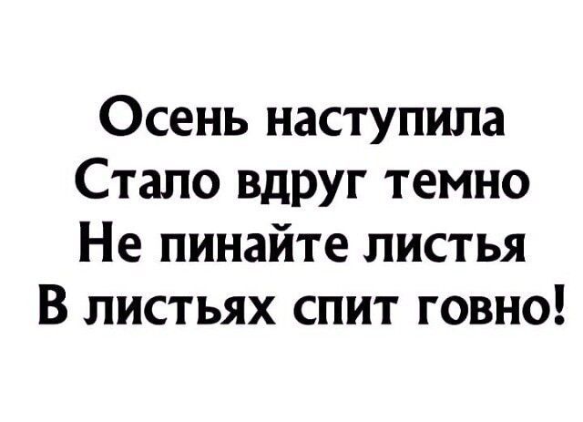 Осень наступила Стало Вдруг темно Не пинайте листья В листьях спит говно