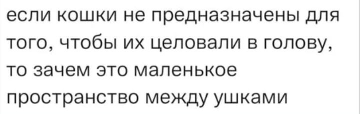если кошки не предназначены для того чтобы их цеповапи в голову то зачем это маленькое пространство между ушками