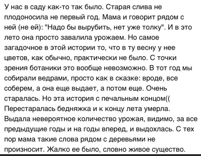у нас в саду как то так Было Старая слива не ллодоносилв не первый год Мама и говорит рядом с ней не ей Надо бы вырубить нет уже топку И в это лето она просто завалила урожаем Но самое загадочное в этой истории то что в ту весну у нее цветов как обычно практически не было с точки зрения ботаники это вообще невозможно в тот год мы собирали ведрами просто как в сказке вроде все соберем а она еще выд