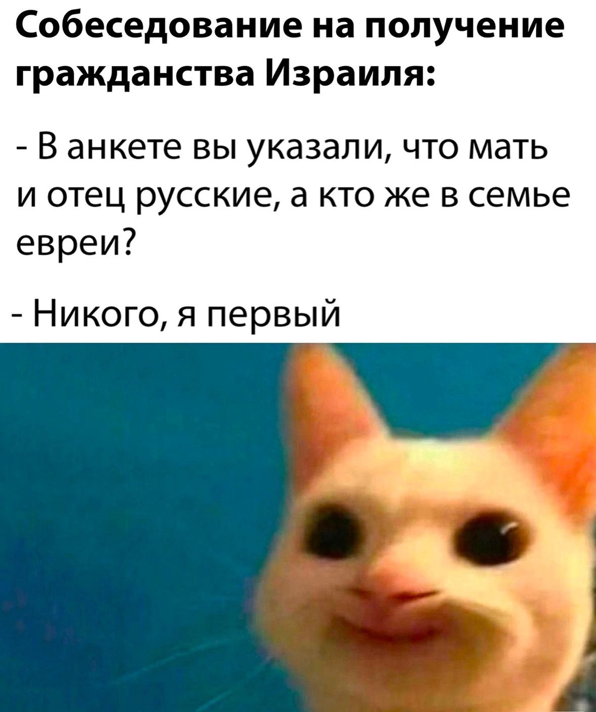 Собеседование на получение гражданства Израиля В анкете вы указали что мать и отец русские а кто же в семье евреи Никого я первый