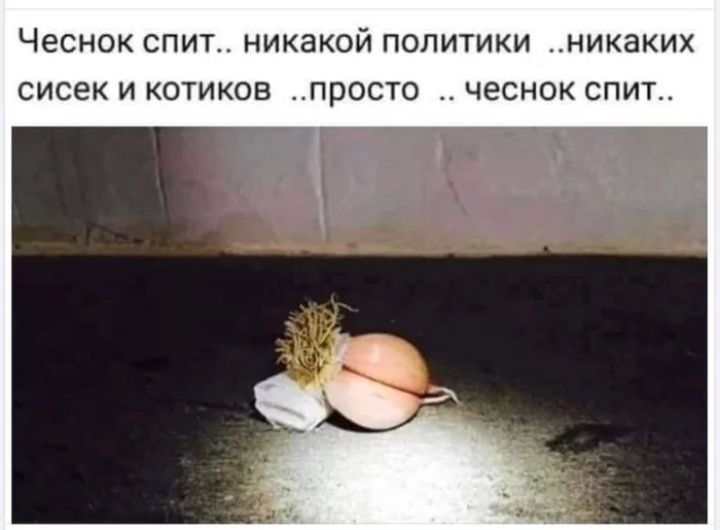 ЧЕСНОК СПИТ НИКЗКОЙ ПОЛИТИКИ НИКЗКИХ сисек И КОТИКОВ ПРОСТО ЧЕСНОК спит