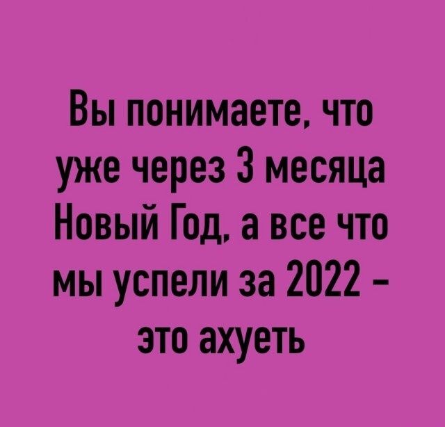 Вы понимаете что уже через 3 месяца Новый Год а все что мы успели за 2022 это ахуеть