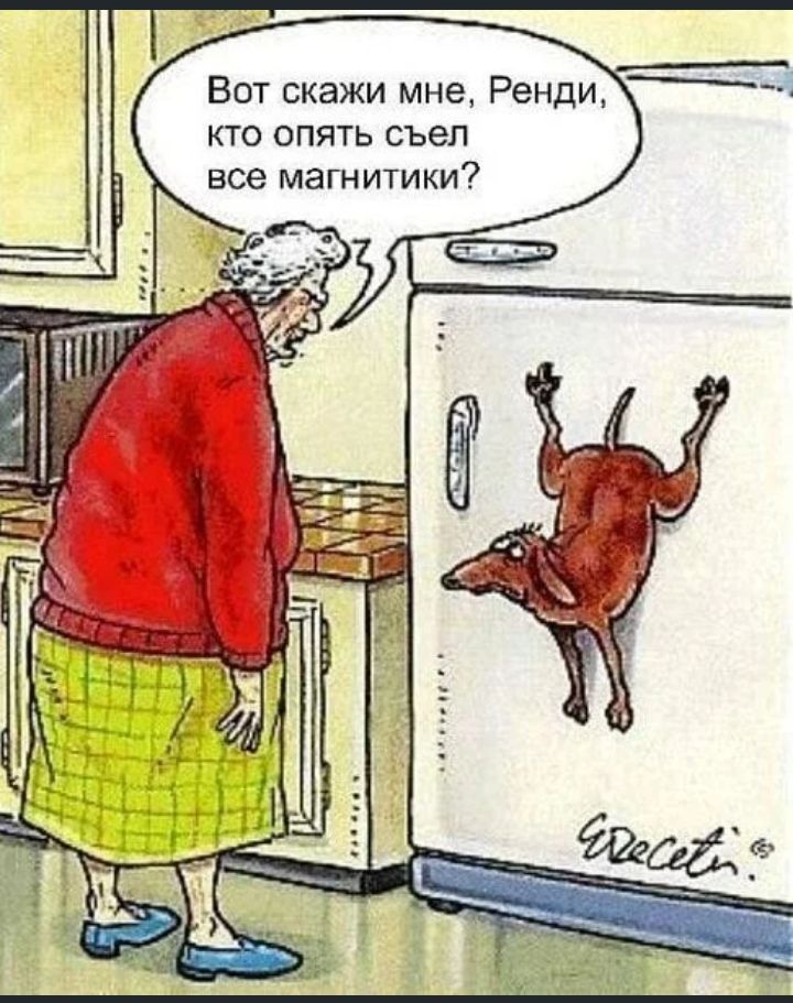 Бот скажи мне Ренди кто опять съеп все магнитики