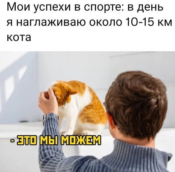 Мои успехи в спорте в день я нагпаживаю около 10 15 км кота