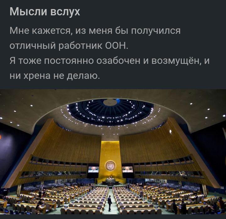Мысли вслух Мне кажется из меня бы получился отличный работник ООН Я тоже постоянно озабочен и возмущён и НИ хрена Не делаю