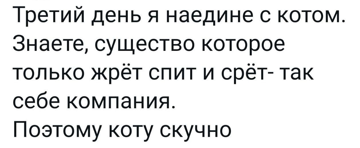 Третий день я наедине с котом Знаете существо которое только жрёт спит и срёт так себе компания Поэтому коту скучно