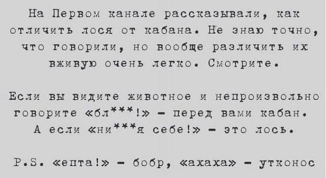 На Первом канале рассказывали как отличить доел от кабана Не знаю точно что гсворили но вообще различить их вхиаув очень легка Смотрите Если вы видите ивотнпе ц иепроизнпльно гансрита ал перед вами кабан А если нця себе это лось гв ента бобр ахаха уткпнсс