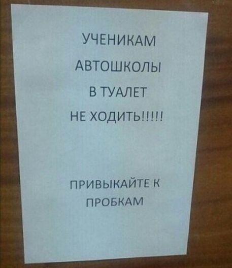 УЧЕНИ КАМ Автошколы В ТУАЛЕТ нг ходитьшп тишман мм