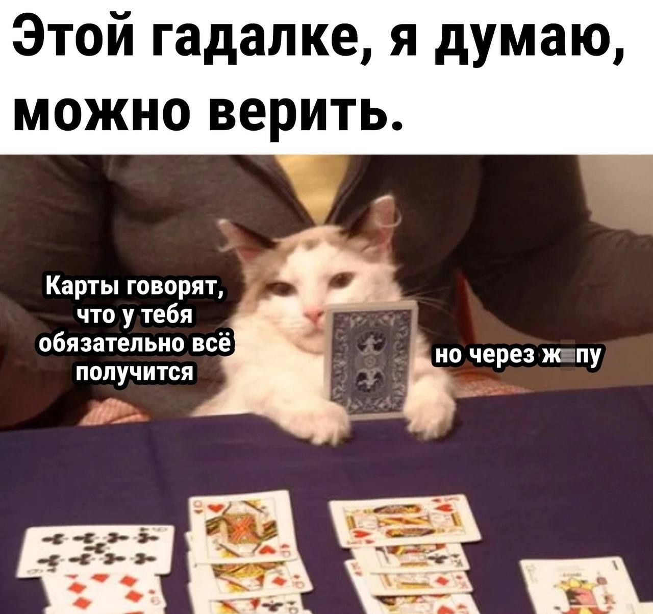 Этой гадалке я думаю можно верить Карты говорят что у іебя обязательно всё получится на через жму
