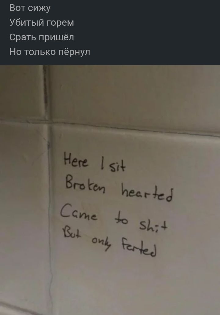 Бот сижу Убитый горем Срать пришёл Но только пёрнул