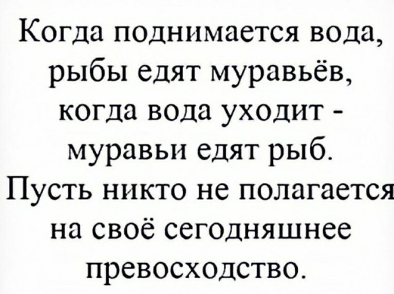 Когда поднимается вода рыбы едят муравьёв когда вода уходит муравьи едят рыб Пусть никто не полагается на своё сегодняшнее превосходство