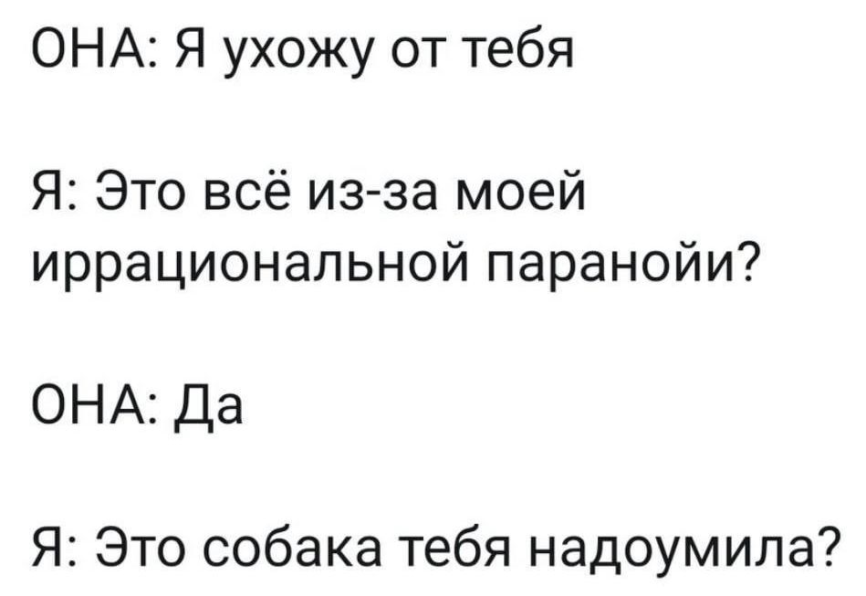 ОНА Я ухожу от тебя Я Это всё из за моей иррациональной паранойи ОНА Да Я Это собака тебя надоумила