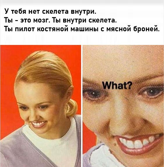У тебя нет скелета внутри Ты это мозг Ты внутри скелета Ты пилот илстянпй машины мясной Брпией