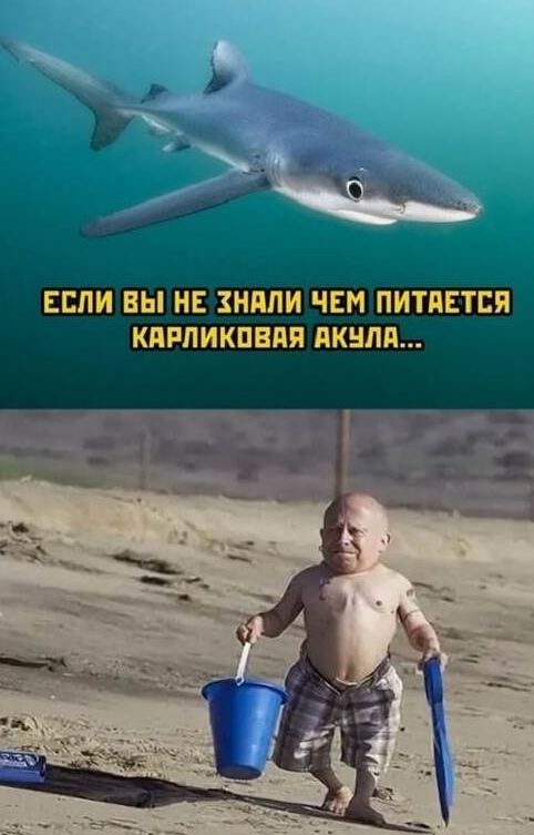 ЕСЛИ ны НЕ ШИ ЧЕМ ПИТПЕТСП КИРПИКПЕПП АКЦИИ