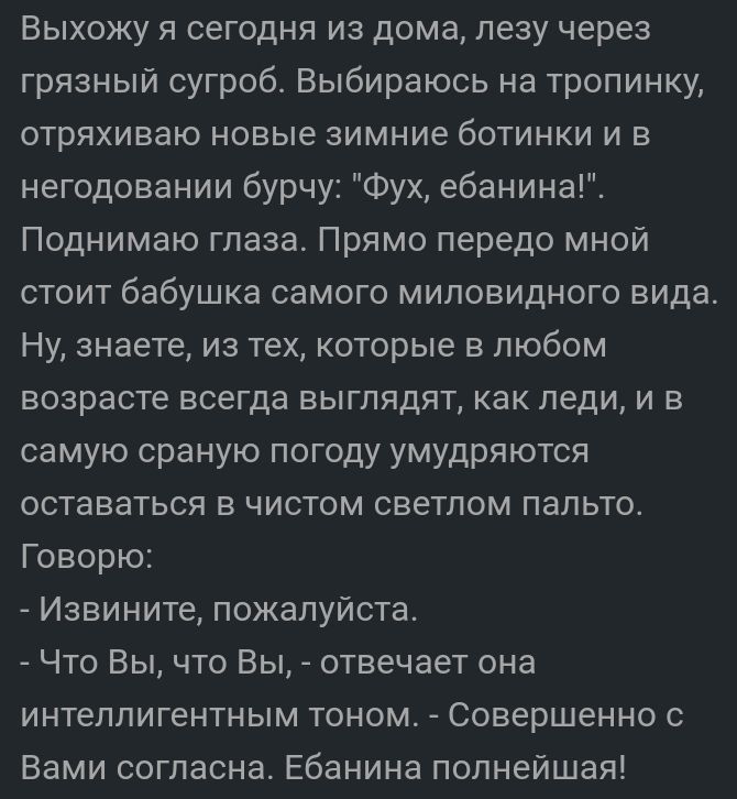 Выхожу я сегодня из дома лезу через грязный сугроб Выбираюсь на тропинку отряхиваю новые зимние ботинки и в негодовании бурчу Фух ебанина Поднимаю глаза Прямо передо мной стоит бабушка самого миловидного вида Ну знаете из тех которые в любом возрасте всегда выглядят как леди и в самую сраную погоду умудряются оставаться в чистом светлом пальто Говорю Извините пожалуйста Что Вы что Вы отвечает она 