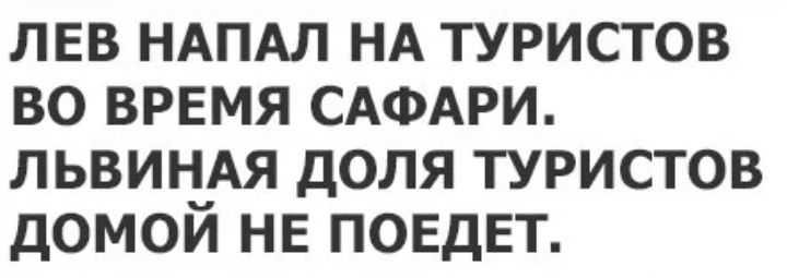 лев ндпдл НА туристов во время САФАРИ львиндя доля туристов домой не поедет