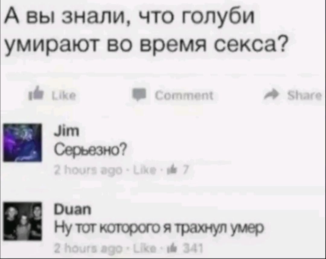 А вы знали что голуби умирают во время секса ці _ Лт Вии Щттшюрапятражупуиер _