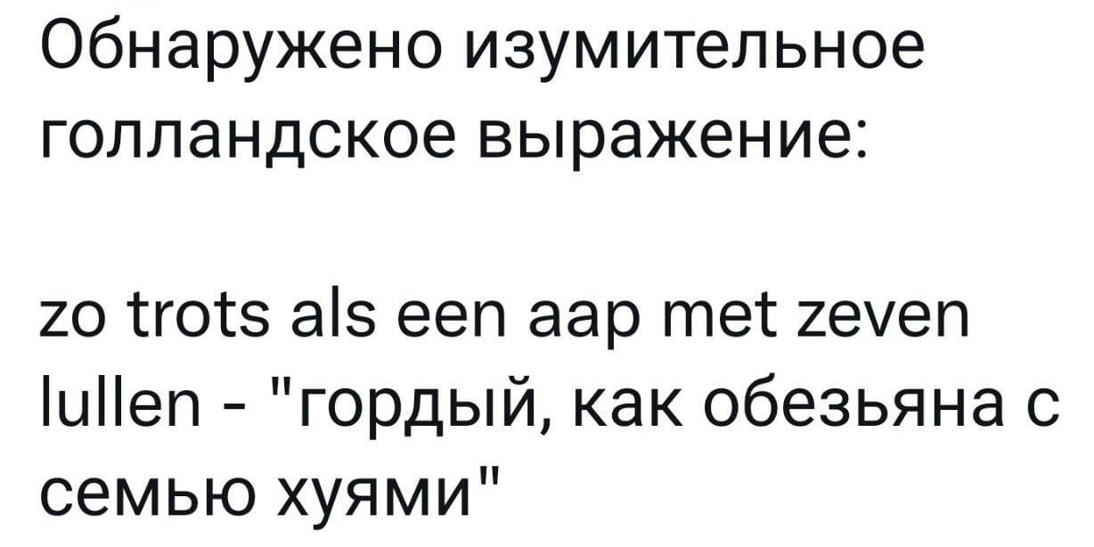 Обнаружено изумительное голландское выражение 20 готз аіз ееп аар тет хечеп иеп гордый как обезьяна с семью хуями
