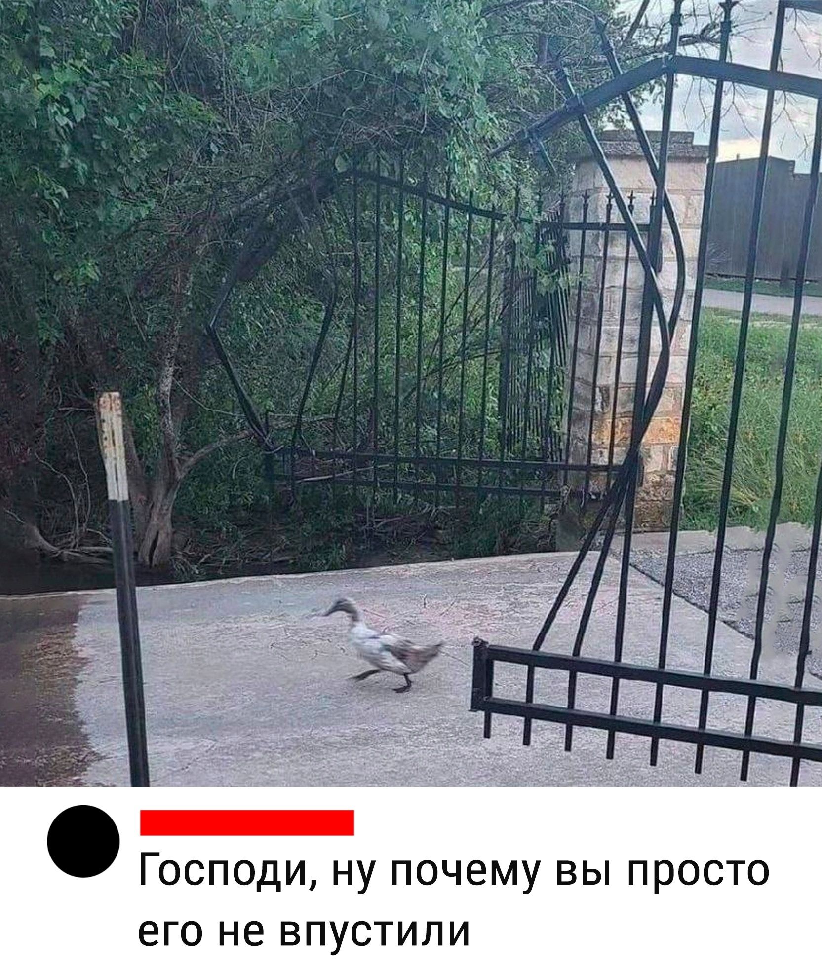 ГОСПОДИ Ну ПОЧЕМУ ВЫ ПРОСТО его не ВПУСТИЛИ