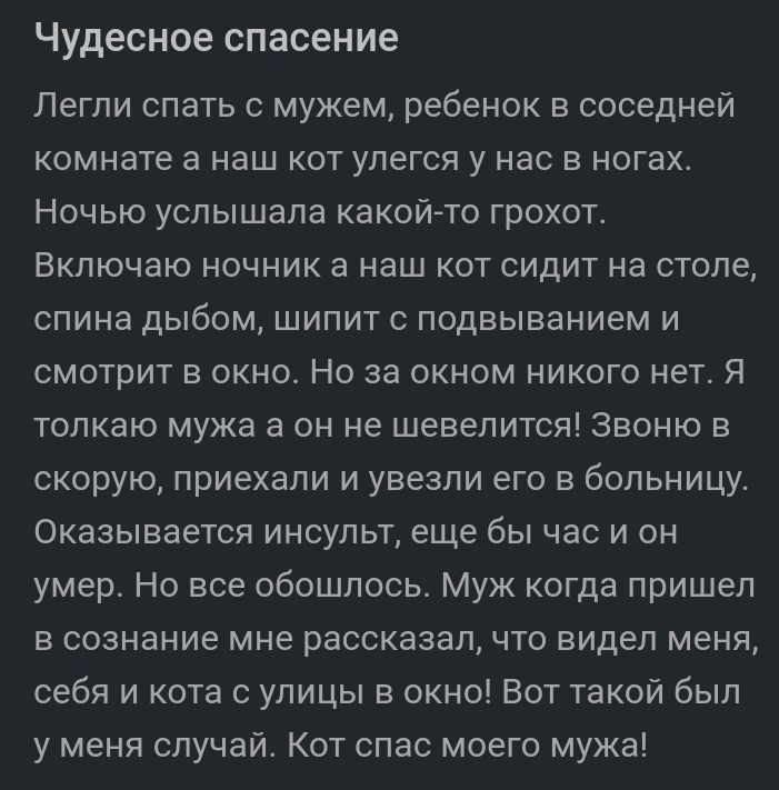 Находясь в комнате я услышал как соседний петух дважды прокричал и смолк