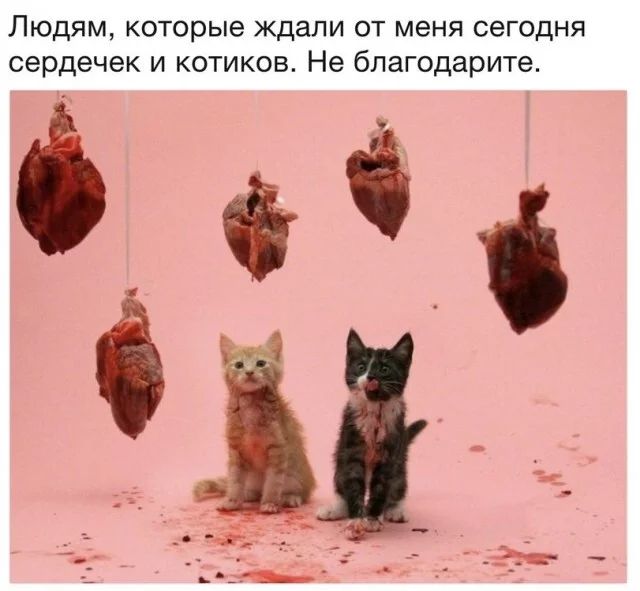 ЛЮДЯМ которые ЖДЗПИ ОТ меня сегодня сердечек И КОТИКОВ Не благодарите