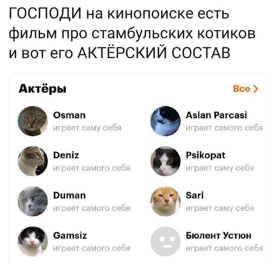ГОСПОДИ на кинопоиске есть фильм про стамбульских котиков и вот его АКТЁРСКИЙ СОСТАВ Актёры ш Азіап Рагснзі Вепіі Ряііюрпі оьтвп Знгі витал Батэіх Биша Устим т 930