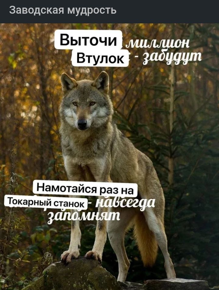 Заводская мудрость ч