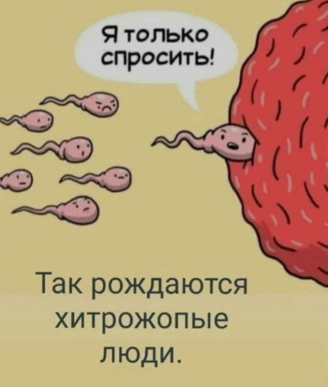 Я только спросить 3 на Так рождаются хитрожопые люди