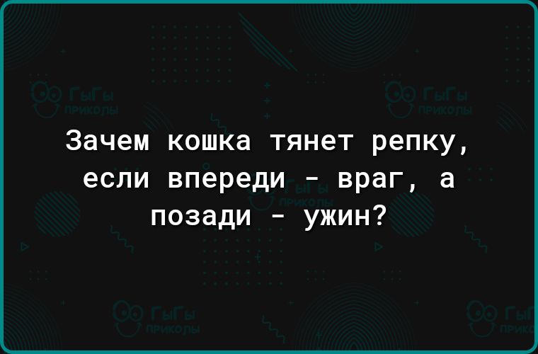 Зачем кошка тянет репку если впереди враг а позади ужин