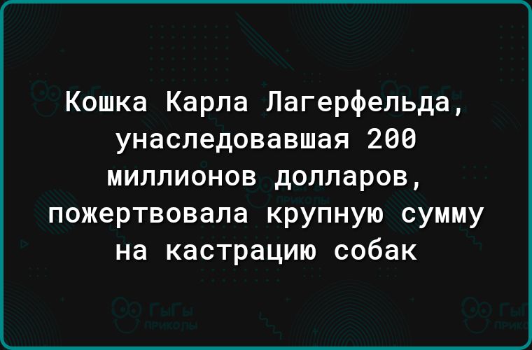 Кошка Карпа Лагерфельда унаследовавшая 288 МИЛЛИОНОВ долларов пожертвовала крупную сумму на кастрацию собак