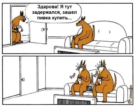 змроип я тут дял рти шел