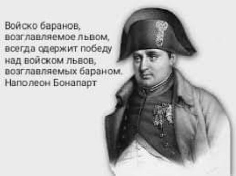 Войско баранов ВОЗГЛЛЦЛЯЕЮКЮ ПЬВОМ всегда шаржи победу над войском львов понимаемых баранина Напополам Бонапарт