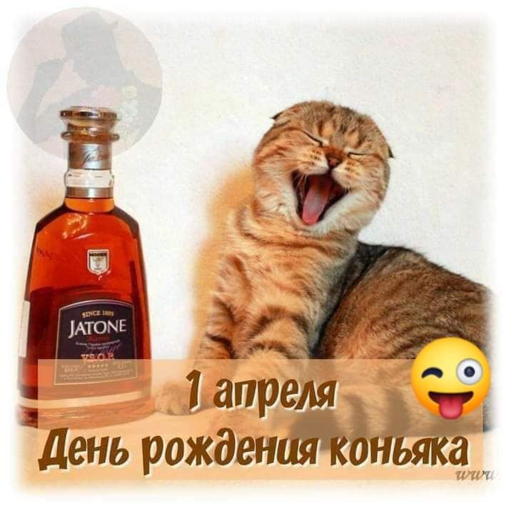 мг апре _ день рожден