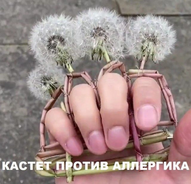 23 ЁТЁПЁЩР 522