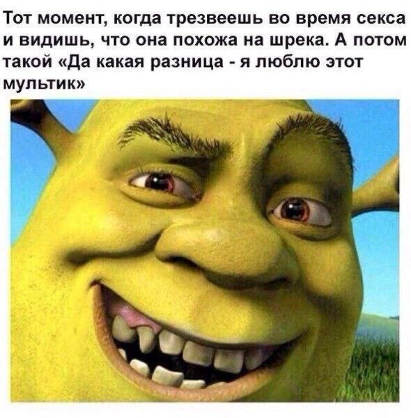 Тот момент когда трезвеешь во время секса и видишь что она похожа на шрека А потом такой да какая разница я люблю этот мультик