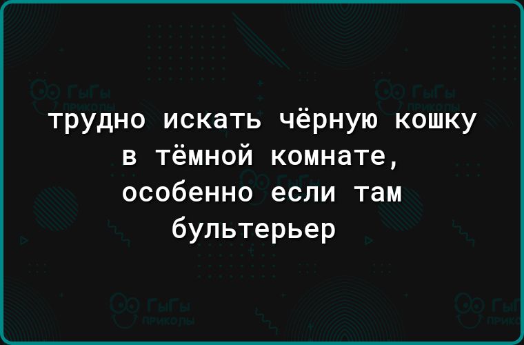 трудно искать чёрную кошку в тёмной комнате особенно если там бультерьер