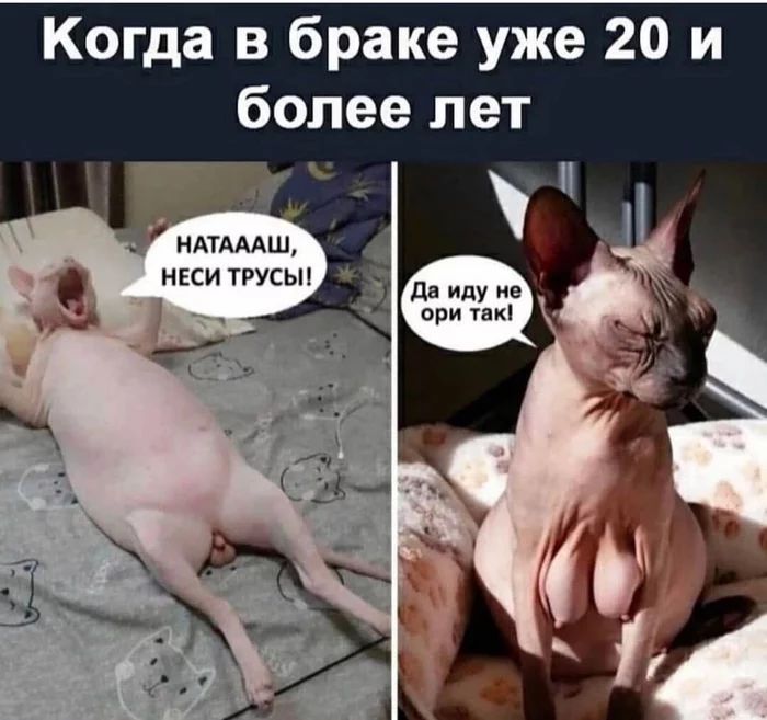 Когда в браке уже 20 и более лет _ ндтмдш нЕси трусы