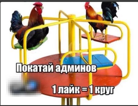 Покатаи админов с а