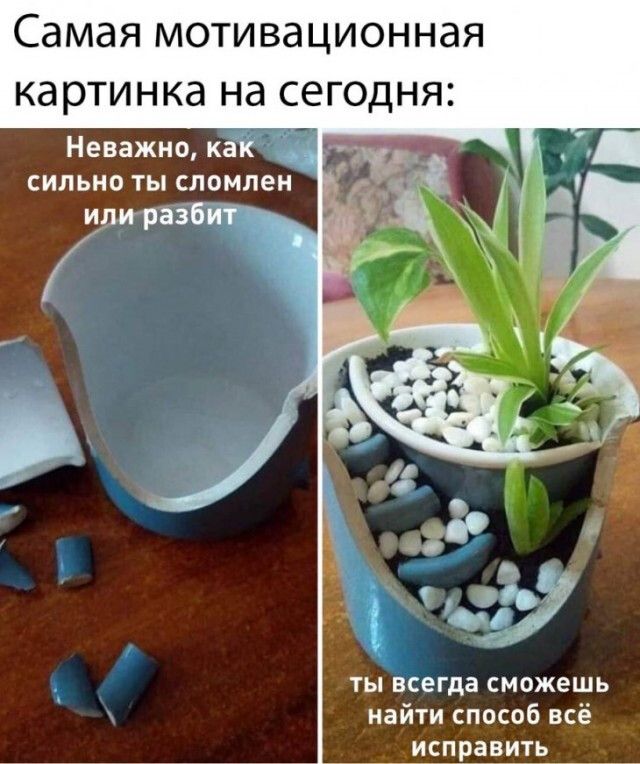 Самая МОТИВЭЦИОННЗЯ КдрТИНКд на СЭГОДНЯ Неважно как СИПЬНВ ТЫ СПОМЛЕН или разбит до и ТЫ ВСеГда СМОЖЕШЬ найти способ всё исправить