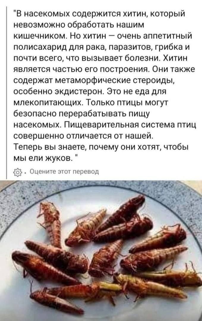 Е насекомых содержится хитин который невозможно обработать нашим кишечником Но хитин очень аппетитный полисахарид для рака паразитов грибка и ПОЧТИ ВСЕГО ЧТО ЕЫЗЫЕЗЕТ болезни ХИТИН ЙЕПЯЕТСЯ частью ЕГО ПОСТРОЕНИЯ ОНИ также содержат метаморфические стероиды особенно зкдистерон Это не еда для МЛЕКОПИТЭЮЩИХ ТОЛЬКО ПТИЦЫ МОГУТ безопасно перерабатывать пищу насекомых Пищеварительная система птиц СОВЕРШЕ