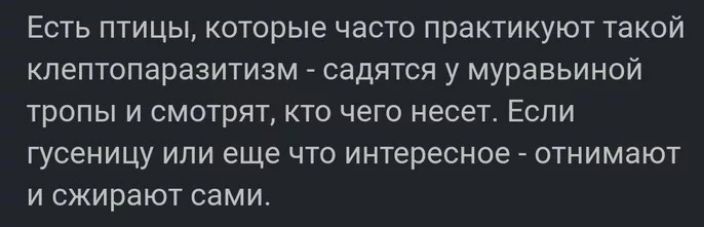 Есть птицы которые часто практикуют такой кпептопаразитизм садятся у муравьиной тропы и смотрят кто чего несет Если гусеницу или еще что интересное _ отнимают и сжирают сами