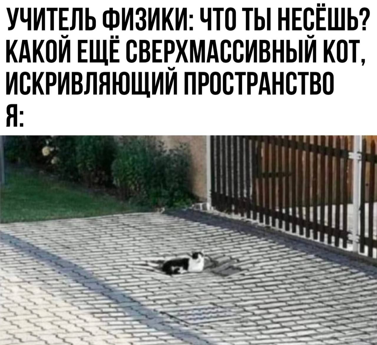 УЧИТЕЛЬ ЦЗИЗИКИ ЧТО ТЫ НЕЧЁШЬ КАКПИ ЕЩЕ ВВЕЕХМАССИВНЫИ КОТ ИБКРИВЛНЮЩИИ ПРОСТРАНСТВЕ Н