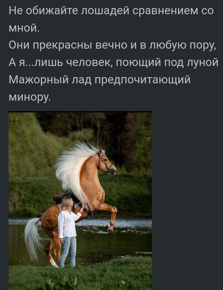 Не обижайте лошадей сравнением со мной Они прекрасны вечно и в любую пору А япишь человек поющий под луной Мажорный пад предпочитающий минору