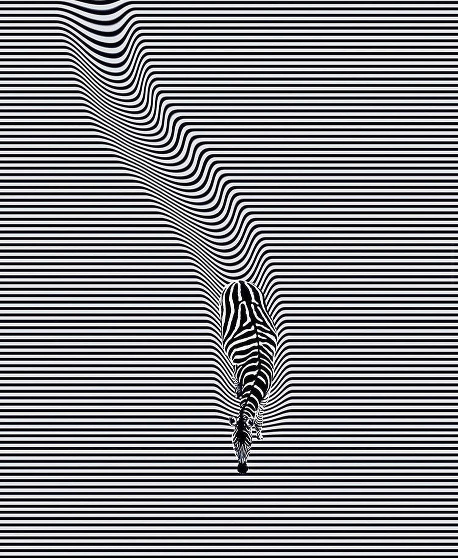 _